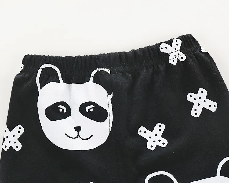 2830025694_2068599042