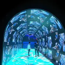 Хит-продаж Coreman Led Дисплей кривой 3,91 для дома и улицы для школы клуба для ночного клуба обувь здания