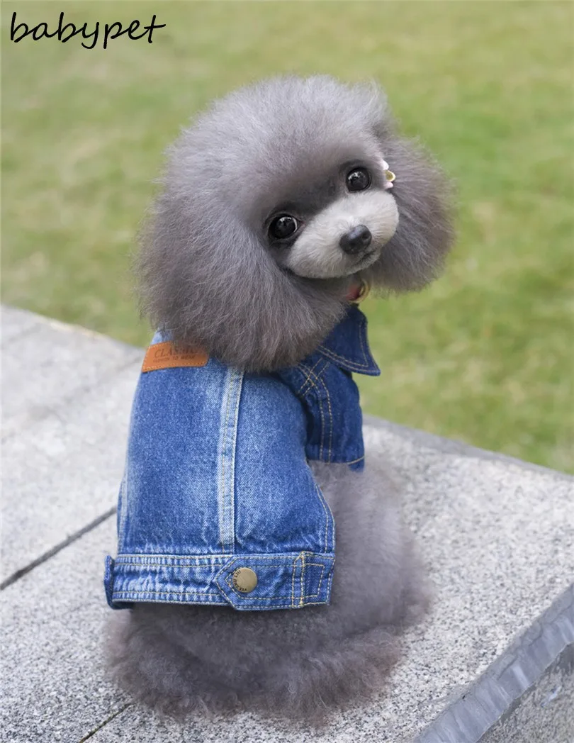 Новейшая модная куртка для собак Одежда для собак товары для домашних животных джинсовая одежда для чихуахуа