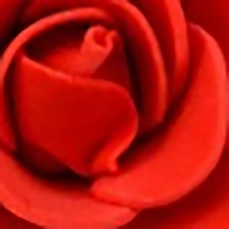 500 шт розовые розы 3 см искусственные цветы для свадьбы дома ручной работы цветок гирлянды Роза медведь розы - Цвет: 5