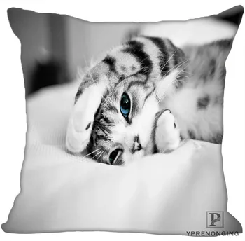 

Custom Sleeping Cat Square Pillowcase Zippered Pillow Cover Case 35X35,40x40,45x45cm(One Side)180522-02-24