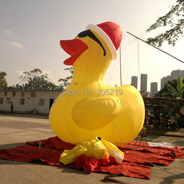 inflatable duck (3).jpg