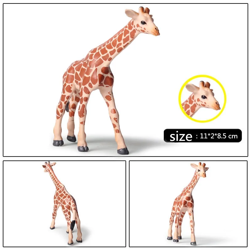 giraffe (4)