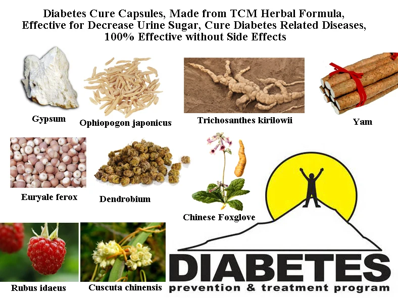 dieta de diabetes trichosanthes kirilowii dieta de diabetes trichosanthes kirilowii