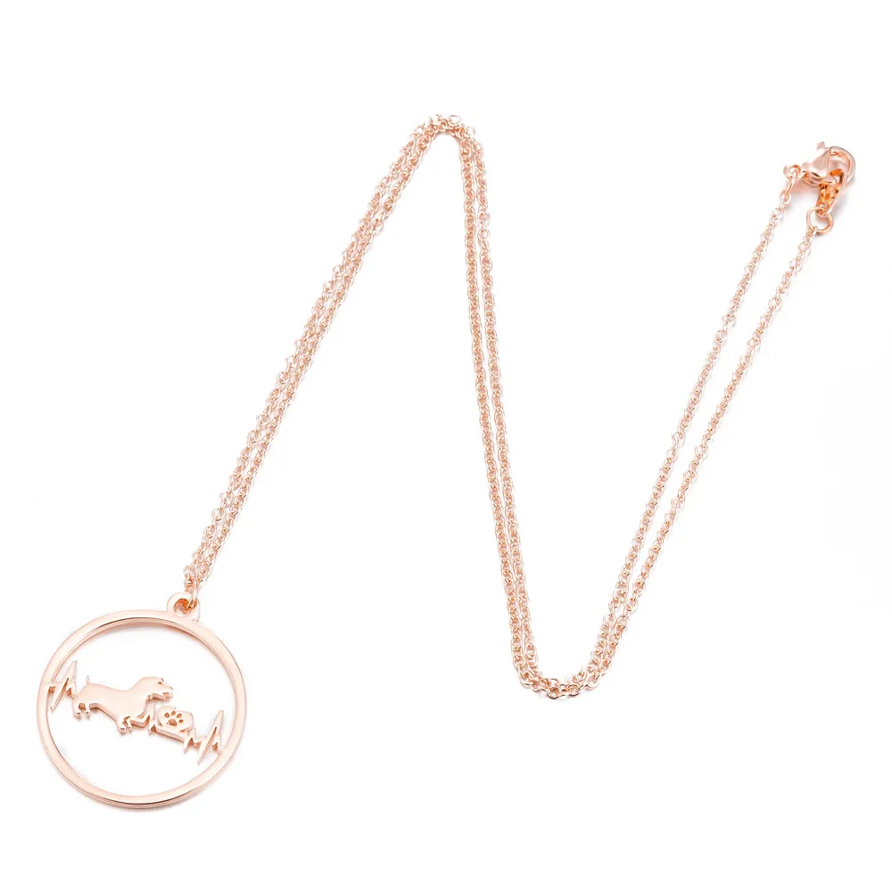 6-10740612255_1313213473