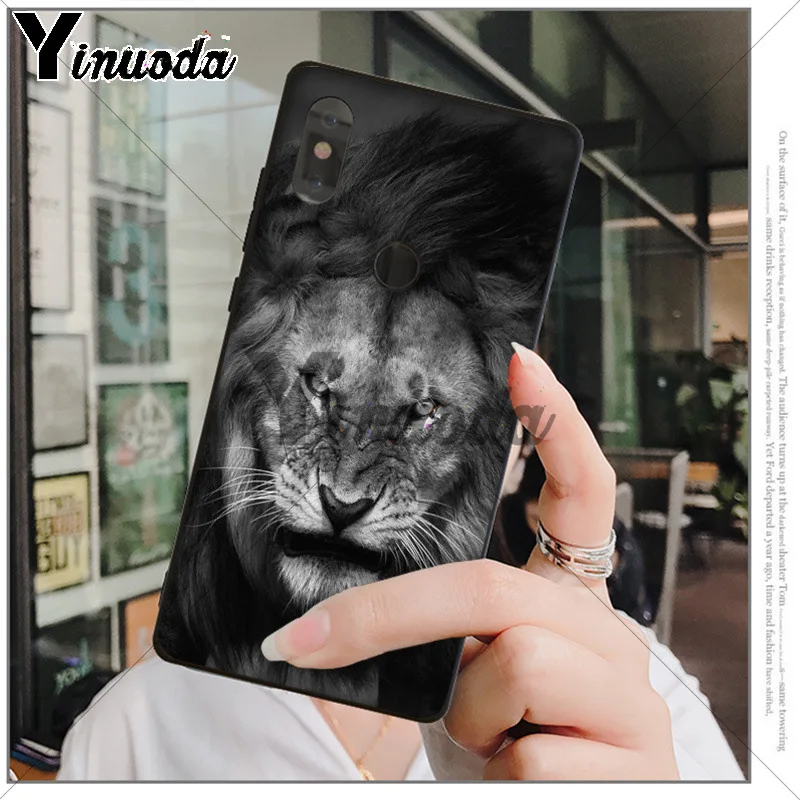 Animals The lion