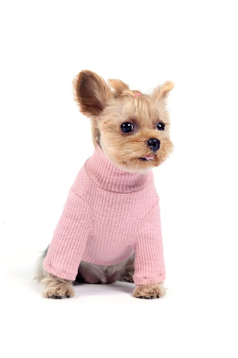 Хлопковый жилет для собак, мягкая плюшевая одежда с длинным рукавом для кошек, весенне-летняя футболка для щенков, маленьких собак