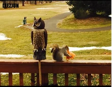 Natural Enemy Scarecrow Rotating Head Owl,Bird Pest repellent garden scarecrow minifigure