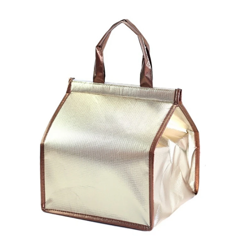 Portable Kitchen Picnic Insulated Cooler Bags Cake Pizza Lunch Picnic Box Insulated Cool Handbags