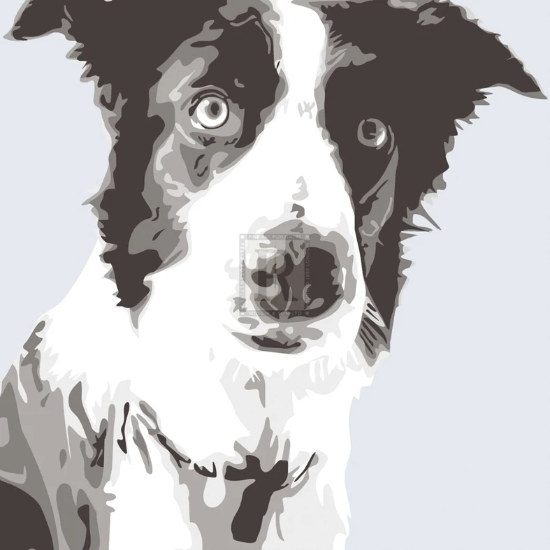 Collie Poster Print by Emily Burrowes (20 x 20)