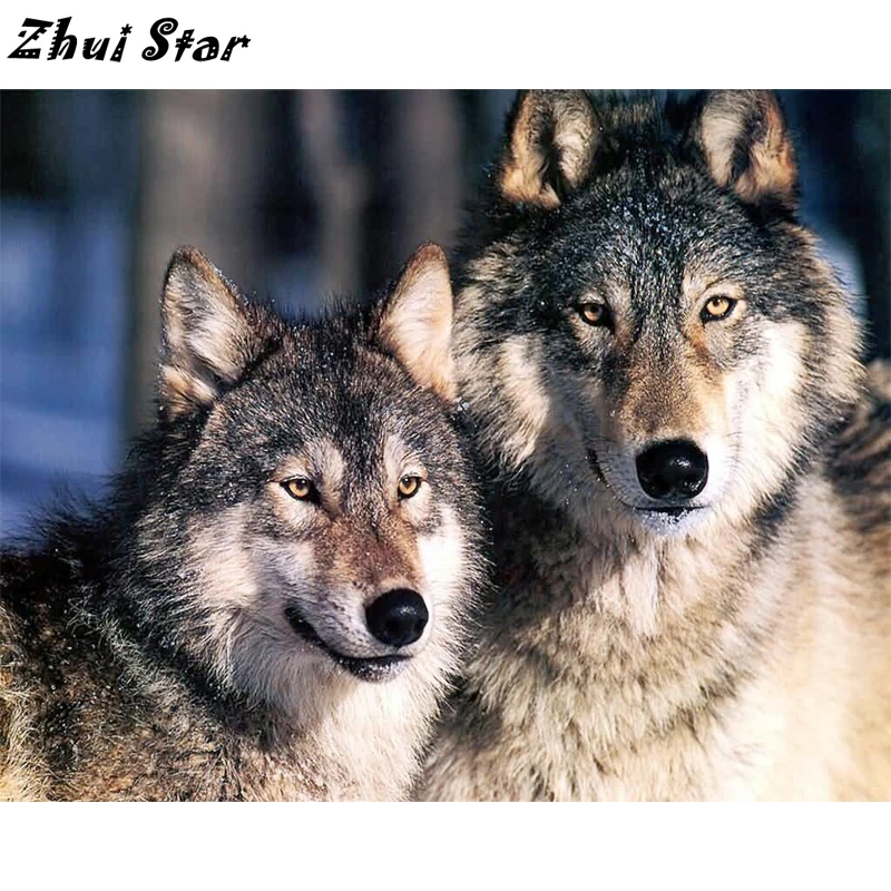 

NEW Full Square Drill 5D DIY Diamond Painting Two wolves 3D Embroidery Cross Stitch Mosaic Set Home Decor FC1436