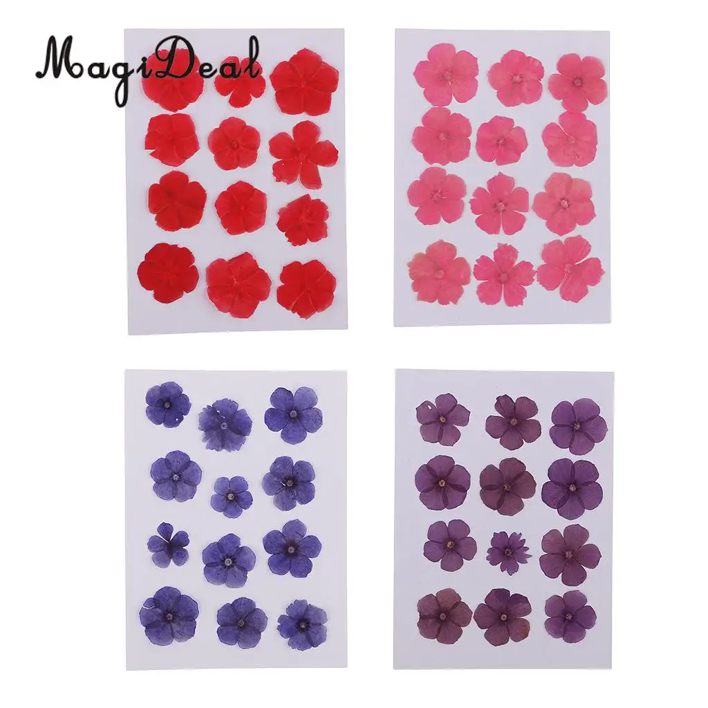 12 Pieces Natural Dried Flowers Real Flower Amaranthus for Kids Craft Card Making DIY Pendants Charms Jewelry