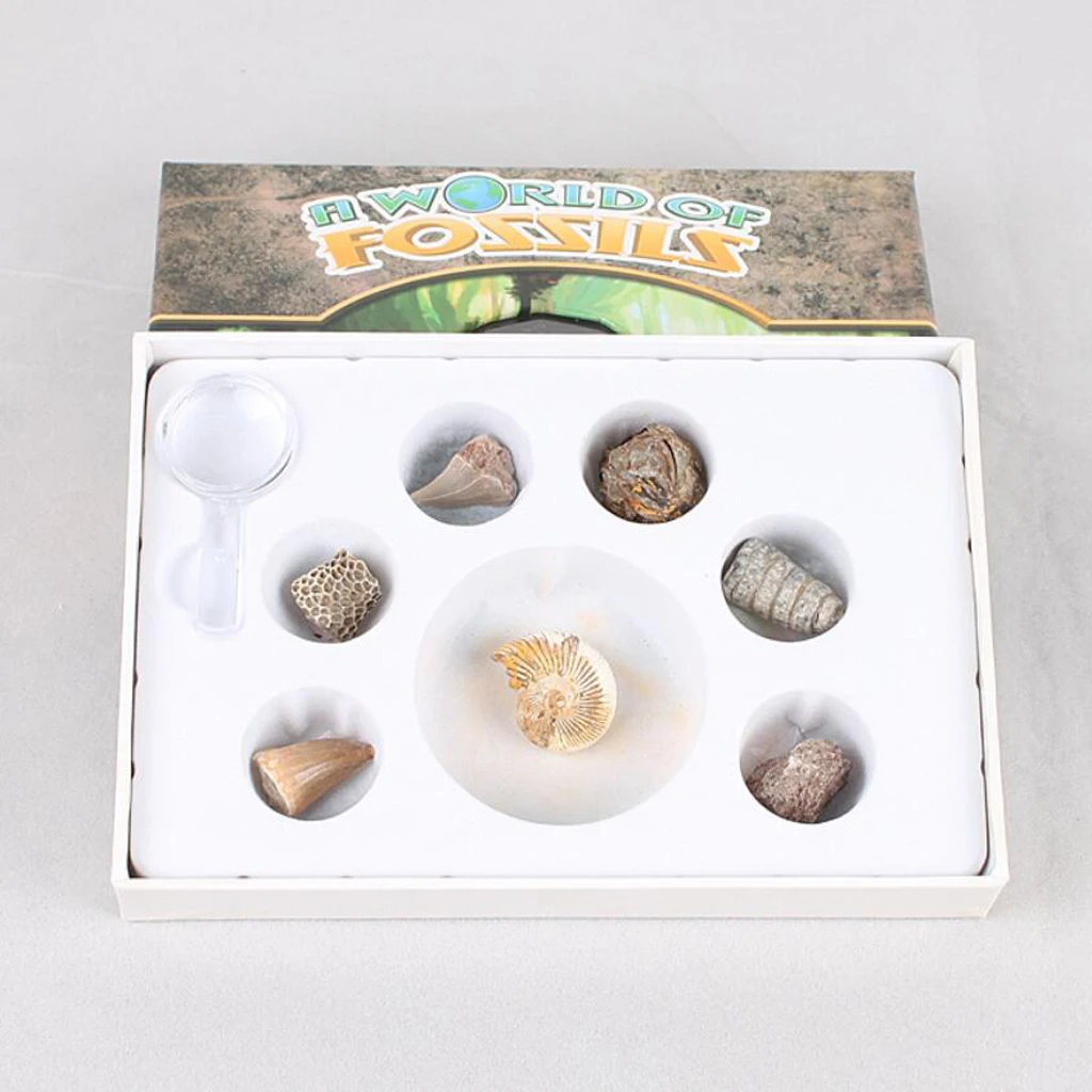 Rock & Mineral Collection PK664 Real Specimens Geology Science Kit Earth Science Toy - Pack of 7