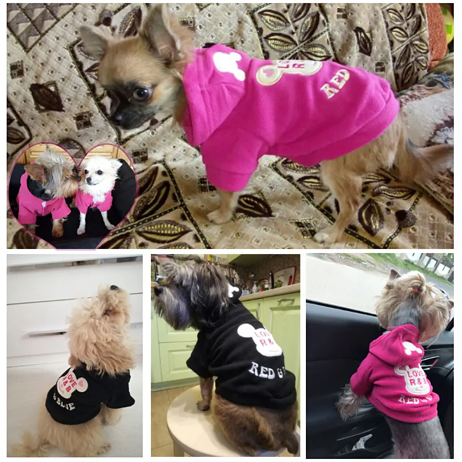 Дизайнерская одежда для собак, милая куртка, одежда для собак, зимняя флисовая хлопковая одежда R& B, две ноги, Roupa Cachorro, размер XS-2XL, толстовки для собак