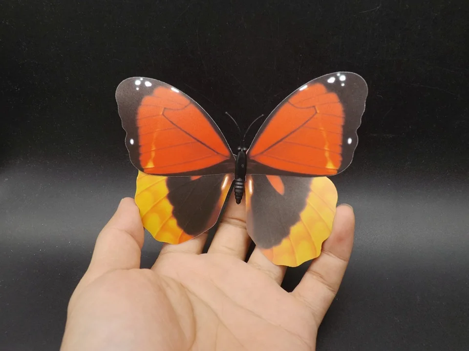 I227-Butterfly (1)