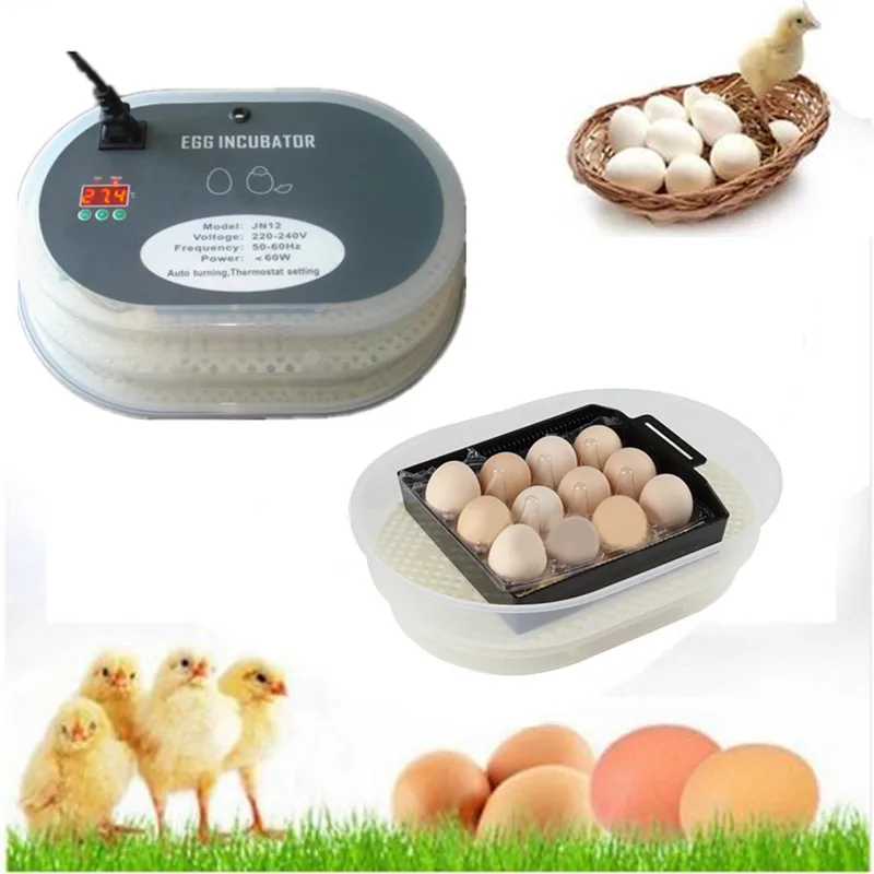 

Automatic Egg Turning Incubators 12 Eggs Hatcher Brooder Poultry Chicken Goose Duck Quail Poultry Brooder