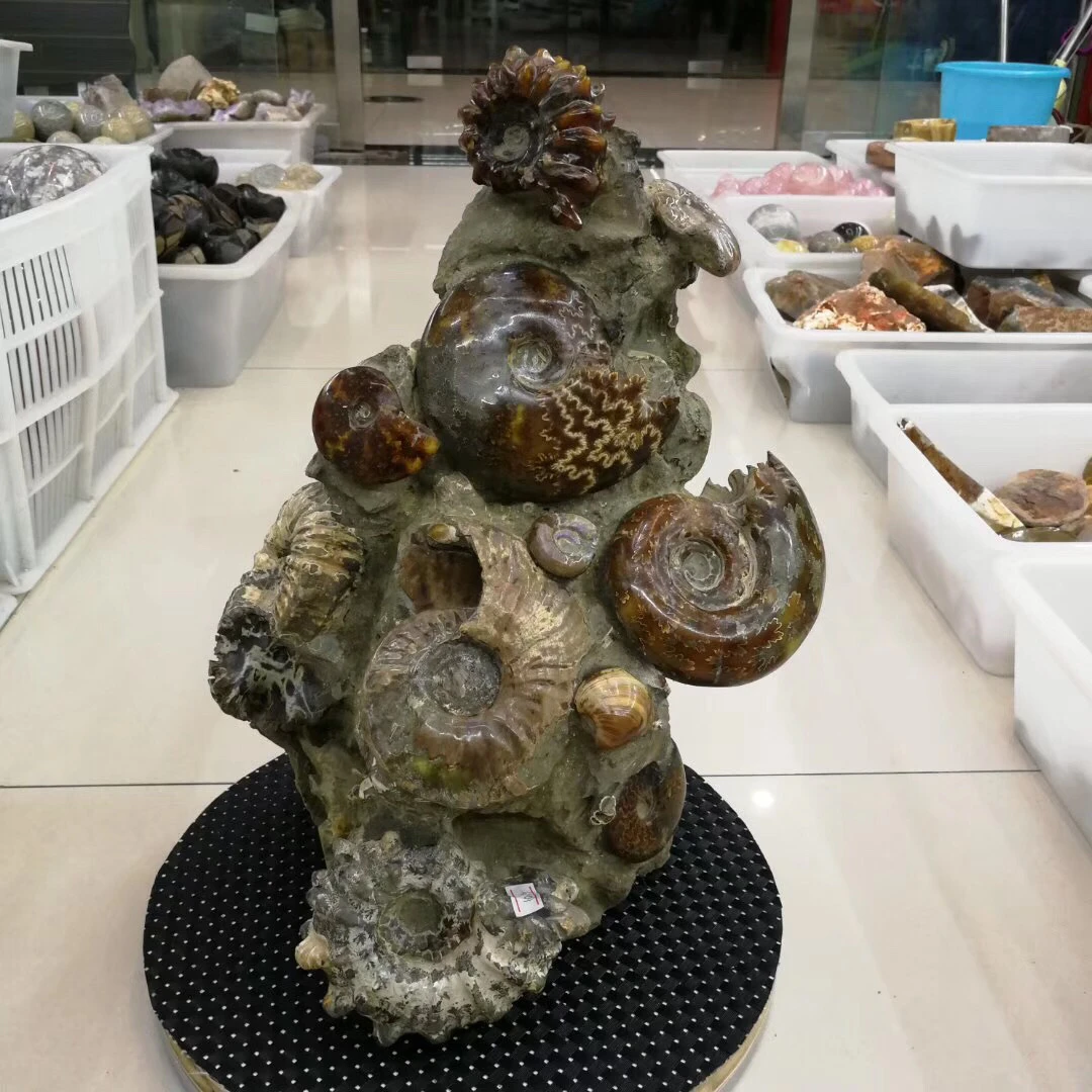 Высокое качество Коллекция fengshui подарки рок винт образец fossil
