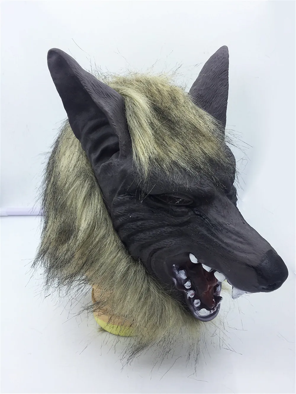 8682493933_1911593283