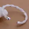 Fashion Silver color Twisted wire mesh Bangle Bracelet for Women Jewelry Factory Price SMTB020 2