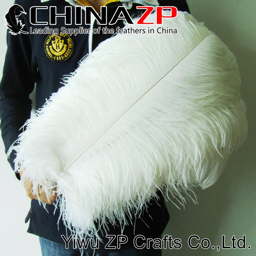 55cm-60cm white PRIME GRADE Large Wing Plumes Wholesale Feathers (bulk) (6)