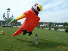 Papagaio voador de arco-íris, pesca, papagaio de voar, animais grandes, inflável, esportivo, para tempo, barra macia