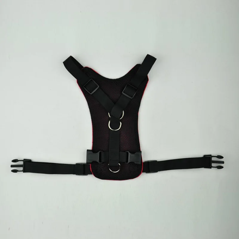 back side