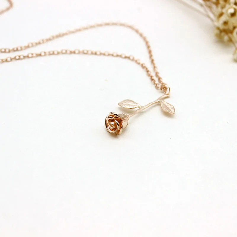 245083_no-logo_245083-2-03