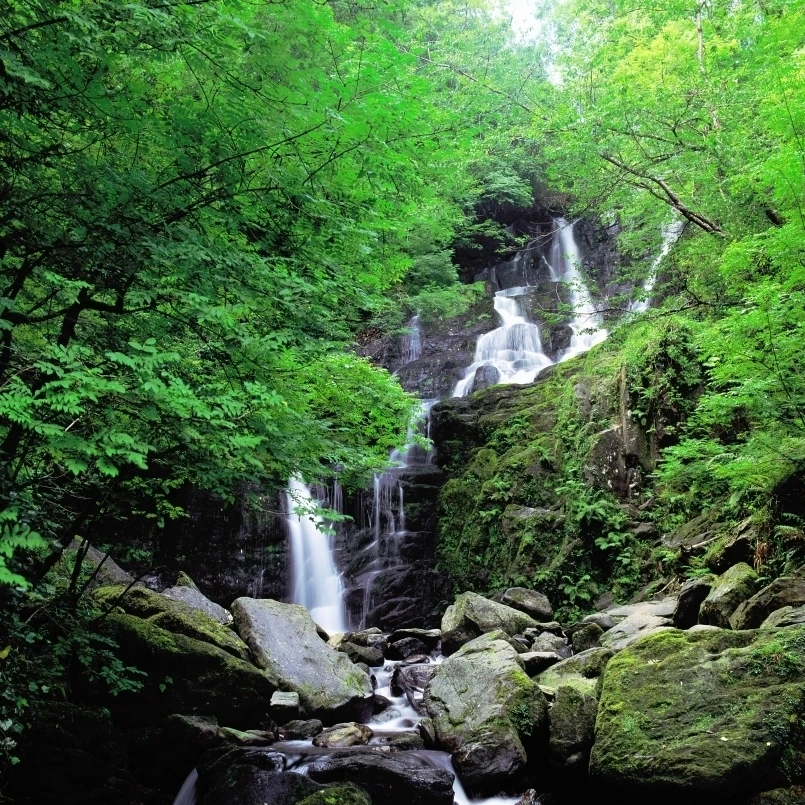 Torc Waterfall  Killarney  Co Kerry  Ireland Poster Print (26 x 34)