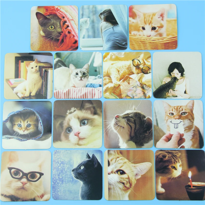 Милый кавайный котик Японский Корейский Круглый квадратная бутылочка для парфюма дневник в стиле Скрапбукинг штамп самоклеющиеся наклейки хлопья