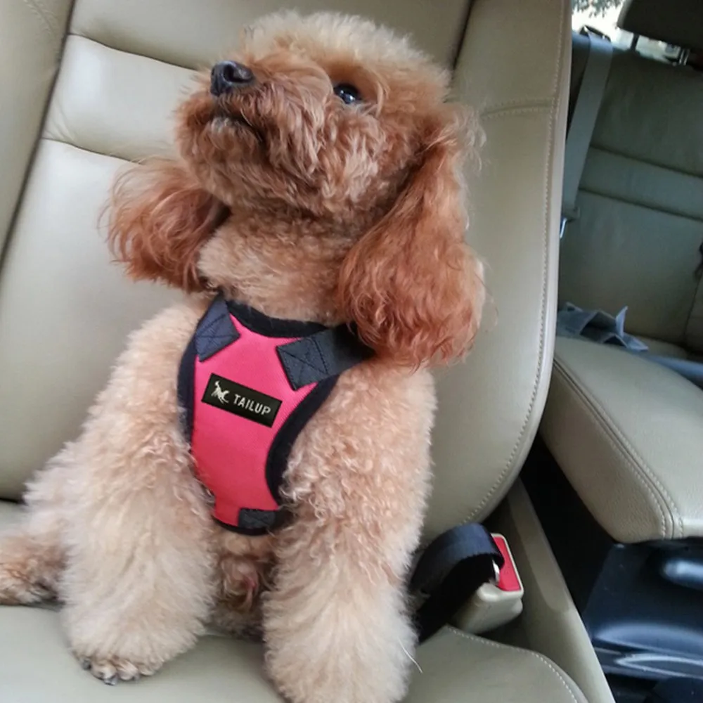 Image Pet Dog leash Safety Pet Car harness Multipurpose Nylon Dog Pet Car Vehicle Safety Harness Adjustable