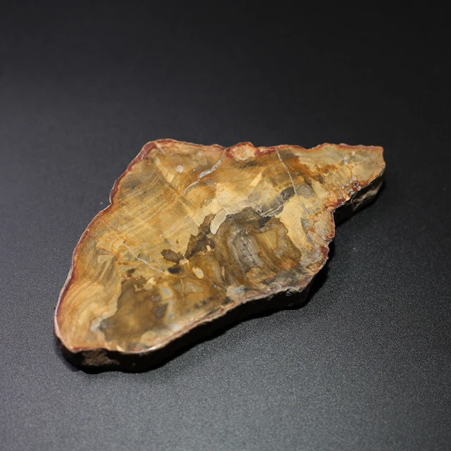Cheap Fine Wood fossil Crystal Specimens NATURAL Stones and Minerals Rock Cheap Fine Wood fossil Crystal Specimens NATURAL Stones and Minerals Rock