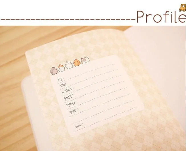 2015-2016 Cute Kawaii Notebook Cartoon Molang Rabbit Journal Diary Planner Notepad for Kids Gift Korean Stationery24