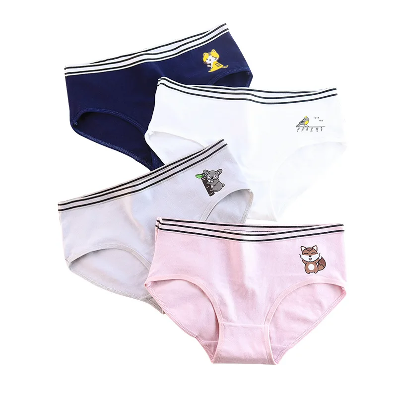 

Small animals 2019 Briefs Panties Children Features Sport Underwear Cotton summer 14-15-17-18-20Years Big Girl's Pantie 4pcs/lot