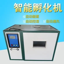 Fully Automatic Home Type Chick Duck Goose Egg Incubators Small Hatching Machine 176 Incubation Controller China