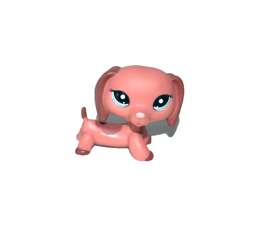AquaEyesPeachBrownDog_zpsmyn9jjjf[1]