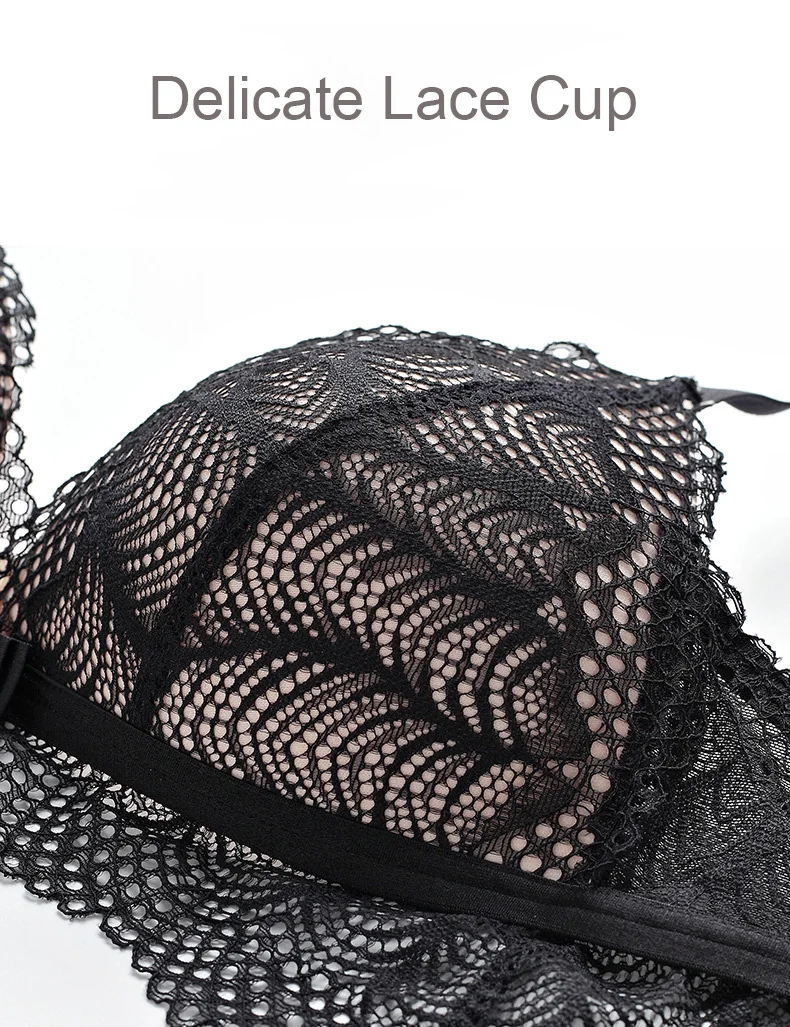 bra sexy lace4