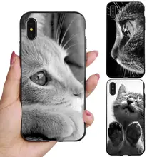 

Lovely Cat Mobile Phone Plastic Protective Case Cover for iPhone X 8/7/6 Plus