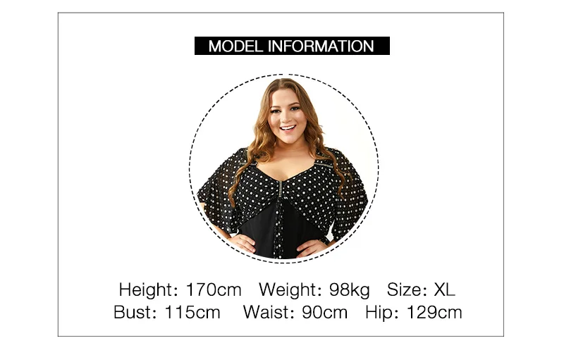 model information