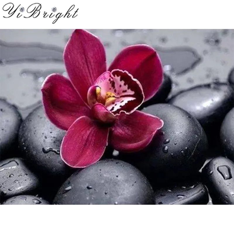 

Full Square/Round Drill 5D DIY Diamond Painting "orchids Flower" 3D Embroidery Cross Stitch Mosaic Scenery Rhinestone Decor Gift