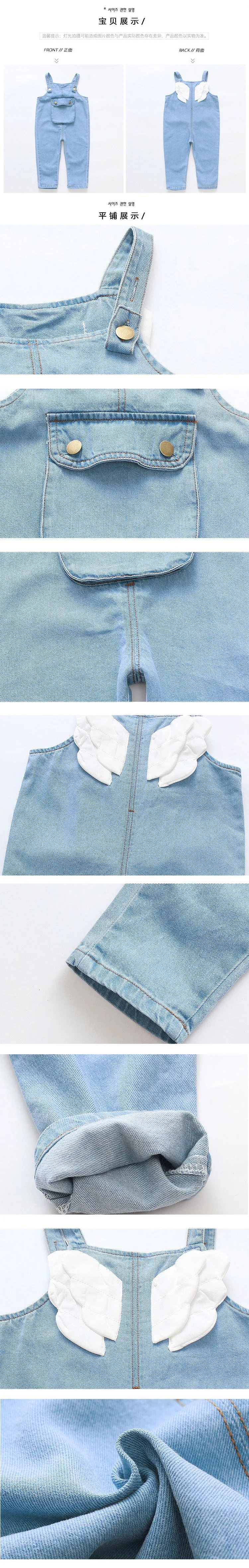 10481513243_1814014530