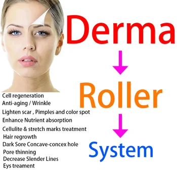 

new item Mezoroller Face Washing Stainless steel Meso Massager Skin Care Anti-aging Removal of facial wrinkle massage roller DRS