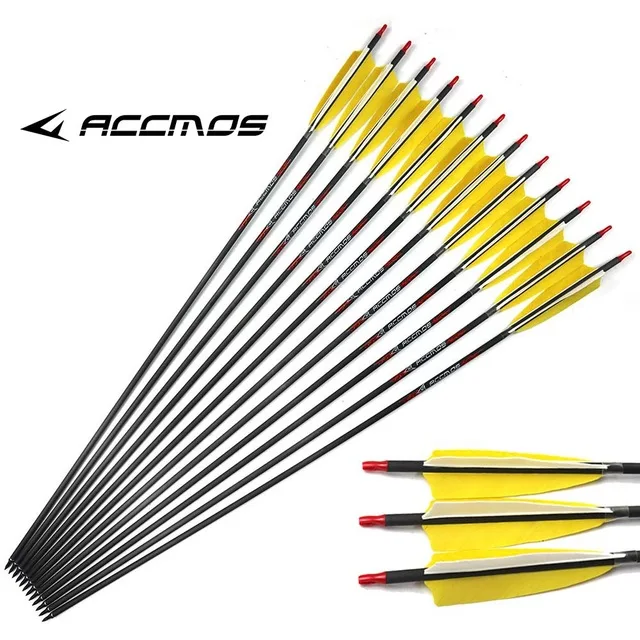 

6/12ps 31 inches ID 6.2mm Spine 300 340 400 500 600 700 800 Carbon Arrow with 5'' Turkey Feather Carbon Arrow for Hunting
