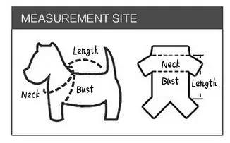 measurement