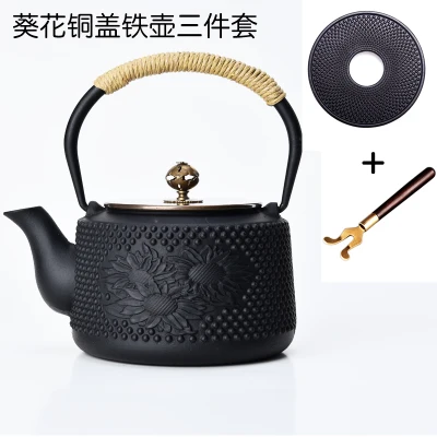Горячая японский чугунный чайник печь на угле Железный чайник кунг-фу пуэр чугунный чайник окисленный без покрытия - Цвет: D STYLE SET 800ml