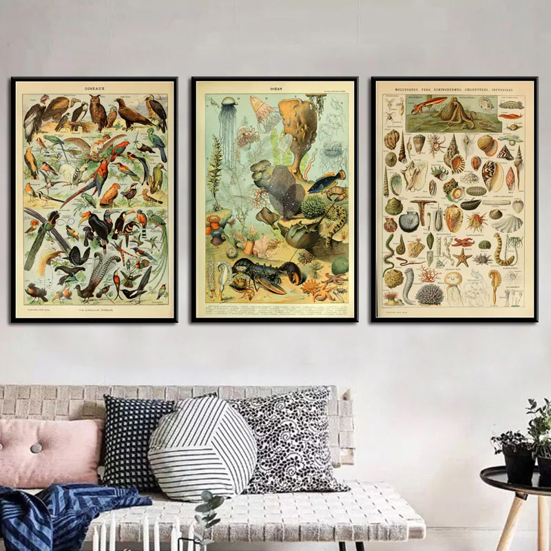

P644 Botanical Animals Mushrooms Ocean Chart Educational Art Painting Silk Canvas Poster Wall Home Decor