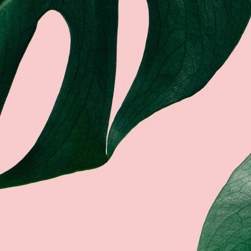 Постеры и принты в скандинавском стиле Monstera Leaf настенная живопись на холсте