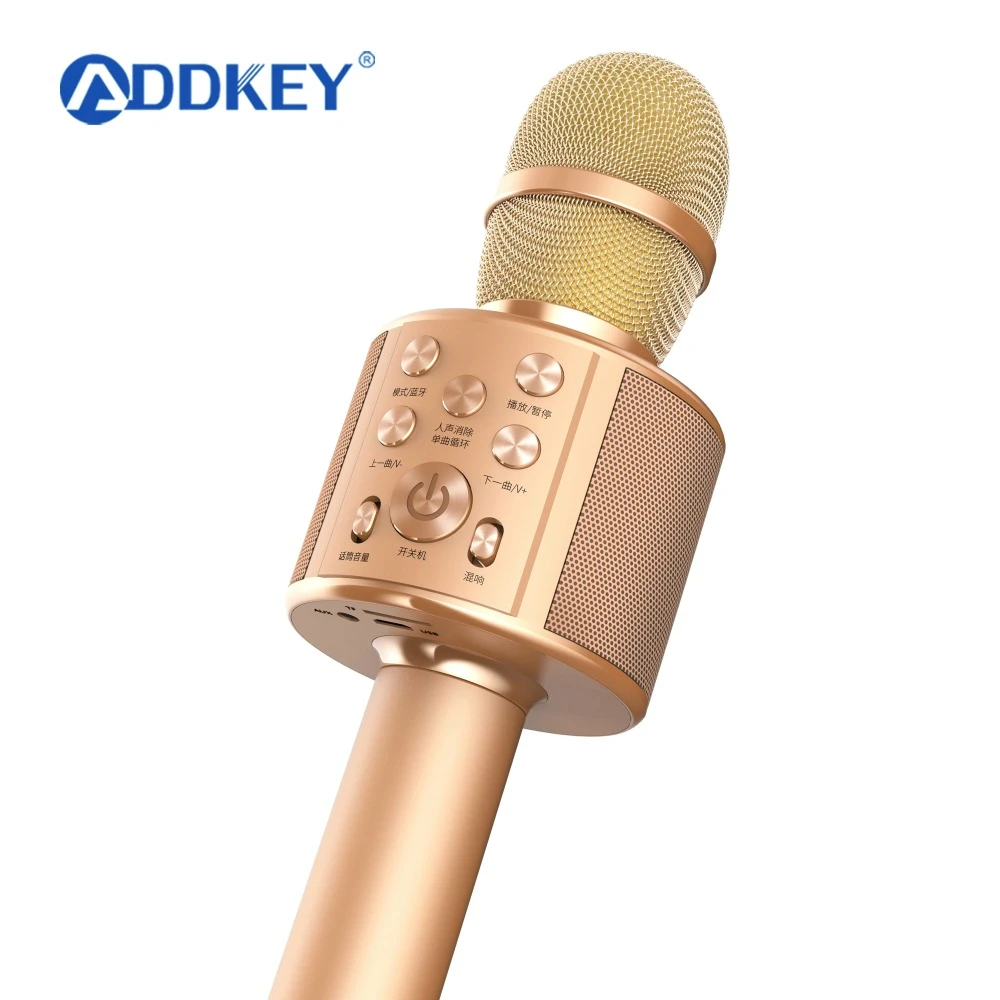 2 in 1 microphone and speaker