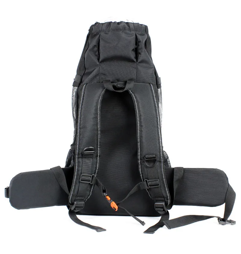 pet carrier (2)