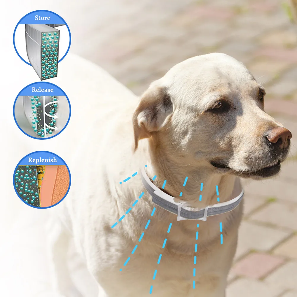 

Flea Shield Collar Dog Cat Anti Tick Insect Mosquitoes Adjustable Waterproof Protection Drop shipping