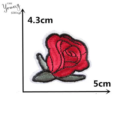 C5255 (3) - 